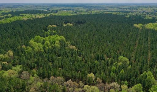 Photo #38 of SOLD property in Off Qualls Farm Rd, Enfield, NC 174.0 acres