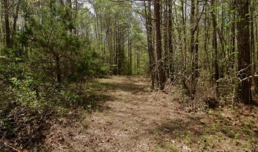 Photo #41 of SOLD property in Off Qualls Farm Rd, Enfield, NC 174.0 acres