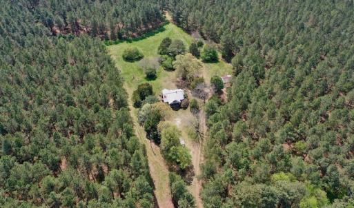Photo #5 of SOLD property in Off Qualls Farm Rd, Enfield, NC 174.0 acres