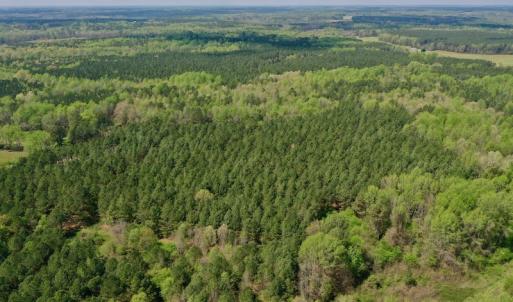 Photo #42 of SOLD property in Off Qualls Farm Rd, Enfield, NC 174.0 acres