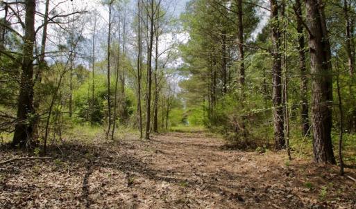 Photo #43 of SOLD property in Off Qualls Farm Rd, Enfield, NC 174.0 acres