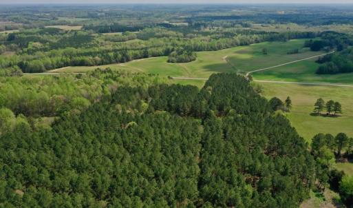 Photo #44 of SOLD property in Off Qualls Farm Rd, Enfield, NC 174.0 acres