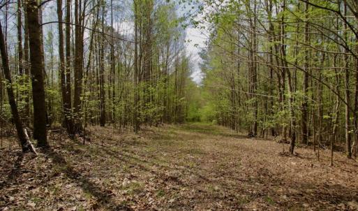 Photo #45 of SOLD property in Off Qualls Farm Rd, Enfield, NC 174.0 acres