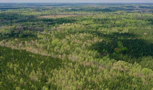 Photo #46 of SOLD property in Off Qualls Farm Rd, Enfield, NC 174.0 acres