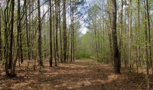 Photo #47 of SOLD property in Off Qualls Farm Rd, Enfield, NC 174.0 acres