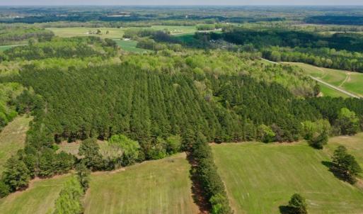 Photo #48 of SOLD property in Off Qualls Farm Rd, Enfield, NC 174.0 acres