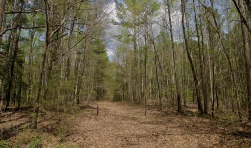 Photo #49 of SOLD property in Off Qualls Farm Rd, Enfield, NC 174.0 acres