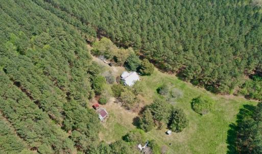 Photo #6 of SOLD property in Off Qualls Farm Rd, Enfield, NC 174.0 acres