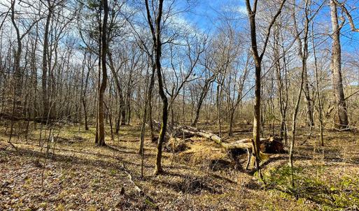 Photo #10 of SOLD property in  Off Easters Road, Boydton, VA 18.5 acres