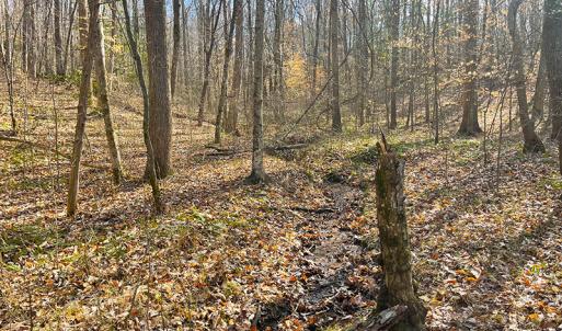 Photo #12 of SOLD property in  Off Easters Road, Boydton, VA 18.5 acres