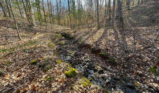 Photo #13 of SOLD property in  Off Easters Road, Boydton, VA 18.5 acres