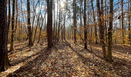 Photo #14 of SOLD property in  Off Easters Road, Boydton, VA 18.5 acres