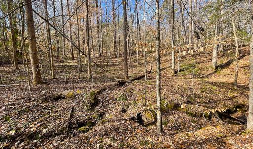 Photo #19 of SOLD property in  Off Easters Road, Boydton, VA 18.5 acres