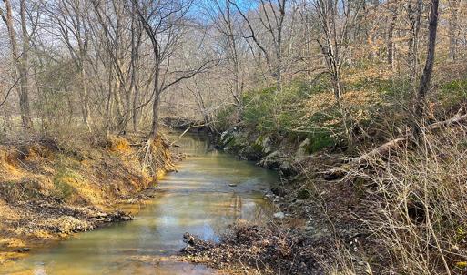 Photo #20 of SOLD property in  Off Easters Road, Boydton, VA 18.5 acres