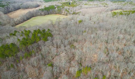 Photo #4 of SOLD property in  Off Easters Road, Boydton, VA 18.5 acres