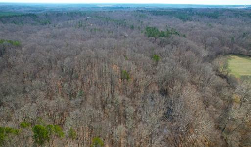 Photo #5 of SOLD property in  Off Easters Road, Boydton, VA 18.5 acres