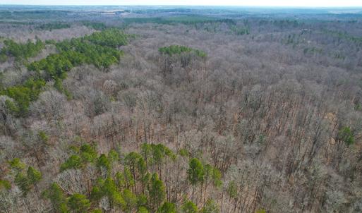 Photo #6 of SOLD property in  Off Easters Road, Boydton, VA 18.5 acres