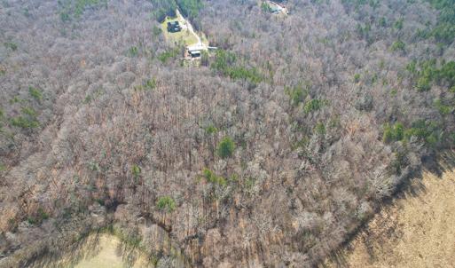 Photo #7 of SOLD property in  Off Easters Road, Boydton, VA 18.5 acres