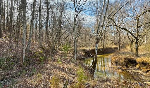 Photo #9 of SOLD property in  Off Easters Road, Boydton, VA 18.5 acres