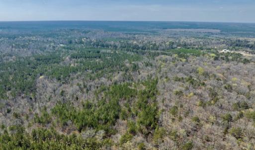 Photo #9 of SOLD property in Off Glendon Carthage Road , Carthage, NC 10.9 acres