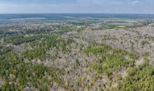 Photo #10 of SOLD property in Off Glendon Carthage Road , Carthage, NC 10.9 acres