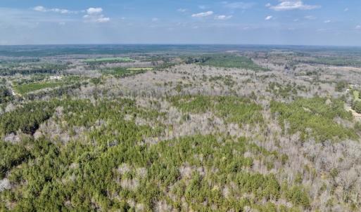 Photo #12 of SOLD property in Off Glendon Carthage Road , Carthage, NC 10.9 acres