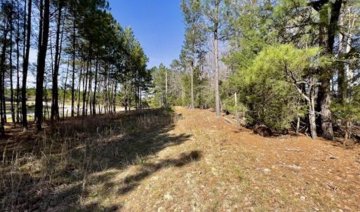 Photo #13 of SOLD property in Off Glendon Carthage Road , Carthage, NC 10.9 acres