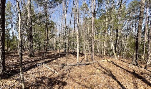 Photo #15 of SOLD property in Off Glendon Carthage Road , Carthage, NC 10.9 acres