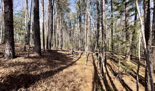 Photo #17 of SOLD property in Off Glendon Carthage Road , Carthage, NC 10.9 acres