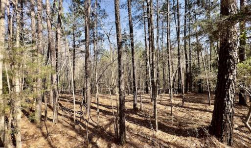 Photo #18 of SOLD property in Off Glendon Carthage Road , Carthage, NC 10.9 acres