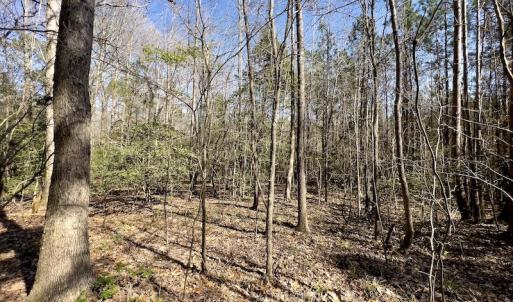 Photo #19 of SOLD property in Off Glendon Carthage Road , Carthage, NC 10.9 acres