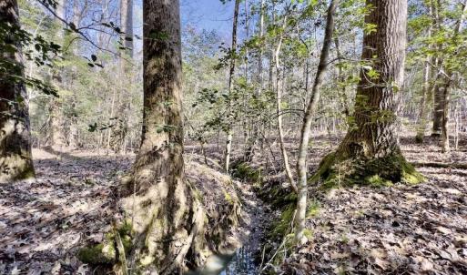 Photo #21 of SOLD property in Off Glendon Carthage Road , Carthage, NC 10.9 acres