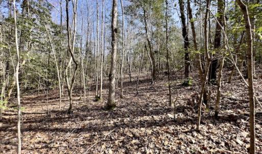 Photo #22 of SOLD property in Off Glendon Carthage Road , Carthage, NC 10.9 acres
