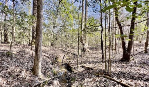 Photo #23 of SOLD property in Off Glendon Carthage Road , Carthage, NC 10.9 acres