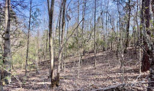 Photo #24 of SOLD property in Off Glendon Carthage Road , Carthage, NC 10.9 acres