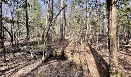 Photo #25 of SOLD property in Off Glendon Carthage Road , Carthage, NC 10.9 acres