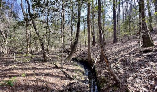 Photo #26 of SOLD property in Off Glendon Carthage Road , Carthage, NC 10.9 acres