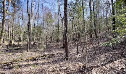 Photo #27 of SOLD property in Off Glendon Carthage Road , Carthage, NC 10.9 acres