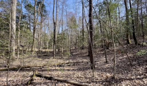 Photo #28 of SOLD property in Off Glendon Carthage Road , Carthage, NC 10.9 acres