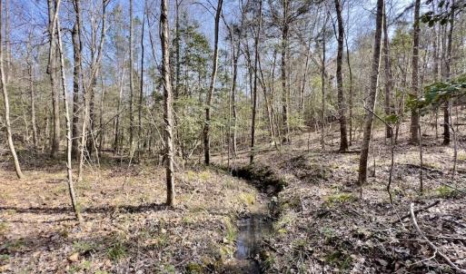 Photo #29 of SOLD property in Off Glendon Carthage Road , Carthage, NC 10.9 acres
