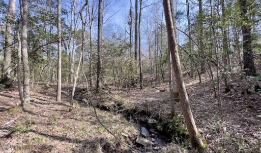 Photo #30 of SOLD property in Off Glendon Carthage Road , Carthage, NC 10.9 acres