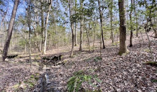 Photo #31 of SOLD property in Off Glendon Carthage Road , Carthage, NC 10.9 acres