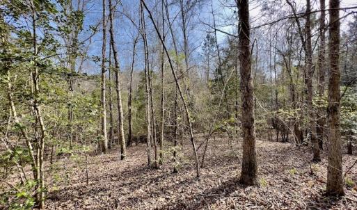 Photo #32 of SOLD property in Off Glendon Carthage Road , Carthage, NC 10.9 acres