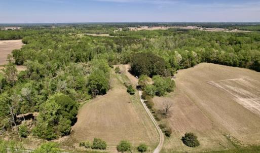 Photo #41 of SOLD property in 3996 NC Highway 124 , Macclesfield, NC 9.7 acres