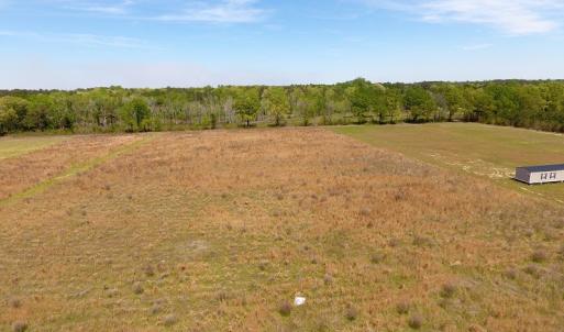 Photo #4 of SOLD property in Off Lee Rd, Gibson, NC 2.0 acres