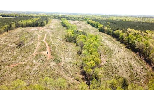 Photo #2 of SOLD property in Off Meherrin River Rd, Brodnax, VA 88.0 acres