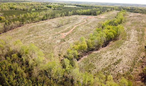 Photo #3 of SOLD property in Off Meherrin River Rd, Brodnax, VA 88.0 acres