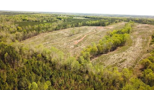 Photo #4 of SOLD property in Off Meherrin River Rd, Brodnax, VA 88.0 acres