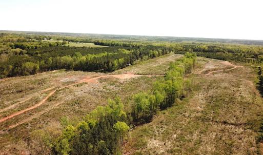 Photo #5 of SOLD property in Off Meherrin River Rd, Brodnax, VA 88.0 acres