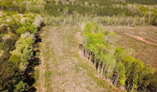 Photo #6 of SOLD property in Off Meherrin River Rd, Brodnax, VA 88.0 acres